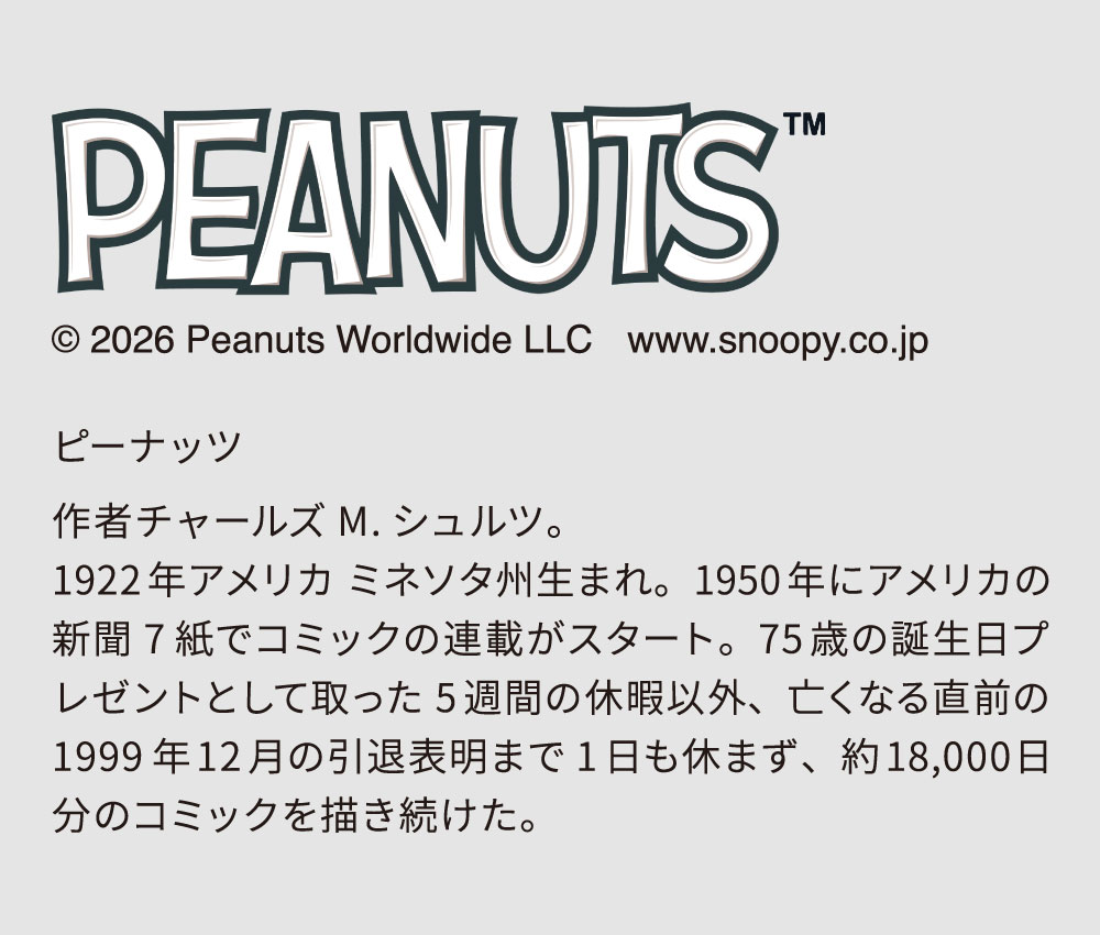 PEANUTS PEANUTS NEON LIGHT（Snoopy Mini）｜スヌーピー ウッド