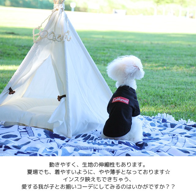 ボックスロゴTシャツ 犬服 わんちゃん わんこ ペット服 プリント