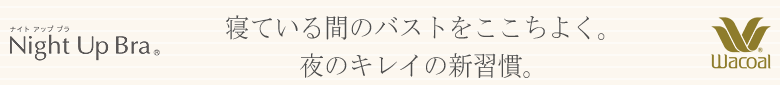 ワコール ナイトアップブラ ナイトブラ ブラジャー 下着 夜用ブラ 夜ブラ ノンワイヤー ブラ おやすみブラ ノンストレス