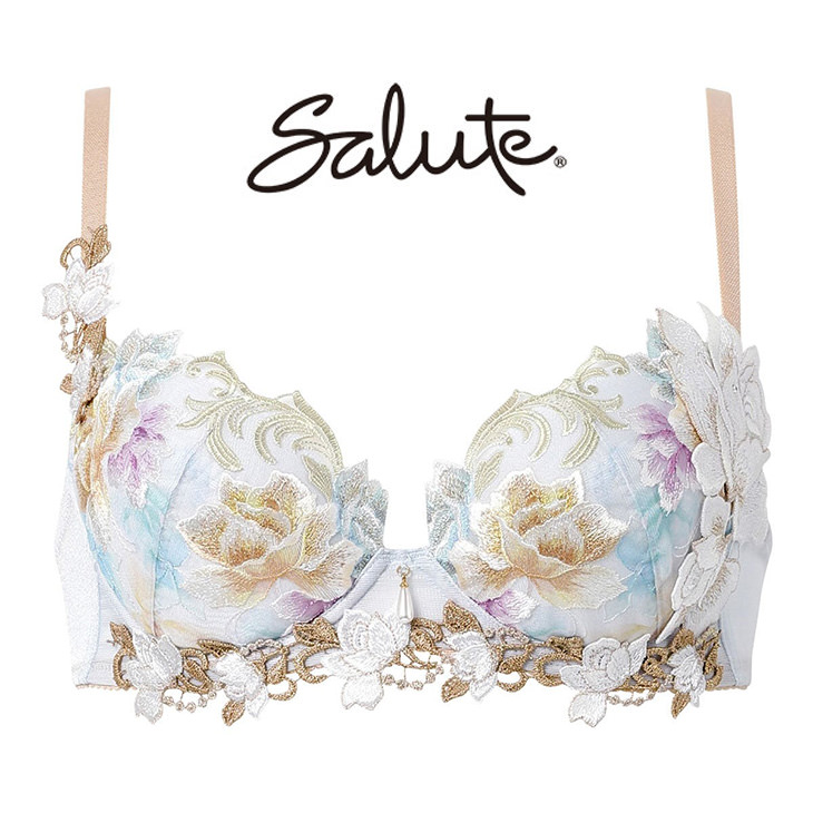 サルート（SALUTE） Salute 26グループ 26G せール ブラジャー