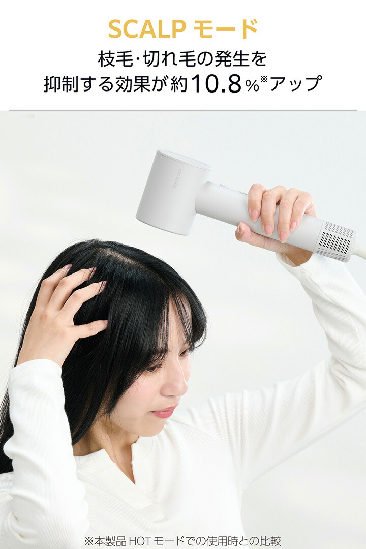 ELECOM（エレコム） テスコム マイナスイオン ヘアドライヤー ハンド