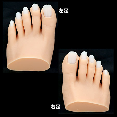 リアル足モデル シリコン製 フットマネキン 撮影用 ネイル練習用ディスプレイ用 リアル足モデル シリコン製 フットマネキン 撮影用 ネイル練習用