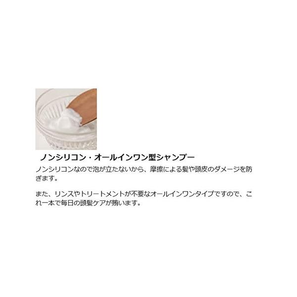 チェントンツェ シャンプー 500ml 楽天市場】【送料無料】CENTONZE R(チェントンツェ・アール)500ml