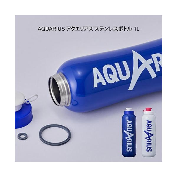 DOSHISHA（ドウシシャ） アクエリアス ステンレスボトル DAST 1.0L 