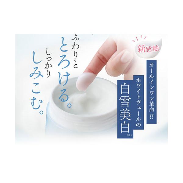 遠方以外宅配便も無料 キラリズム とろける 薬用オールインワン スノー