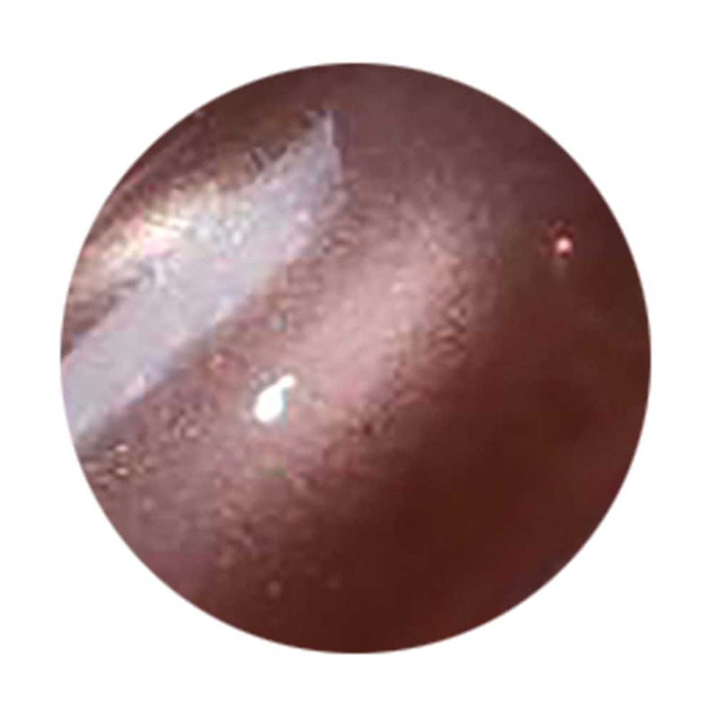 ICE GEL GENTLEON ミストスターギャラクシージェル 3g 6色からご選択