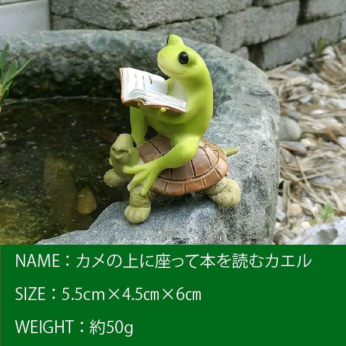 樹脂製置物　蛇とカエル　オブジェ　樹脂製オブジェ　標本アート　置物　コレクション カエルの置物 3種類からご選択 かわいい 癒し おしゃれ オブジェ