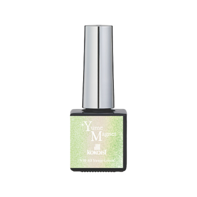 KOKOIST ココイスト ゆめマグネット 10ml 6種類からご選択 YM-41