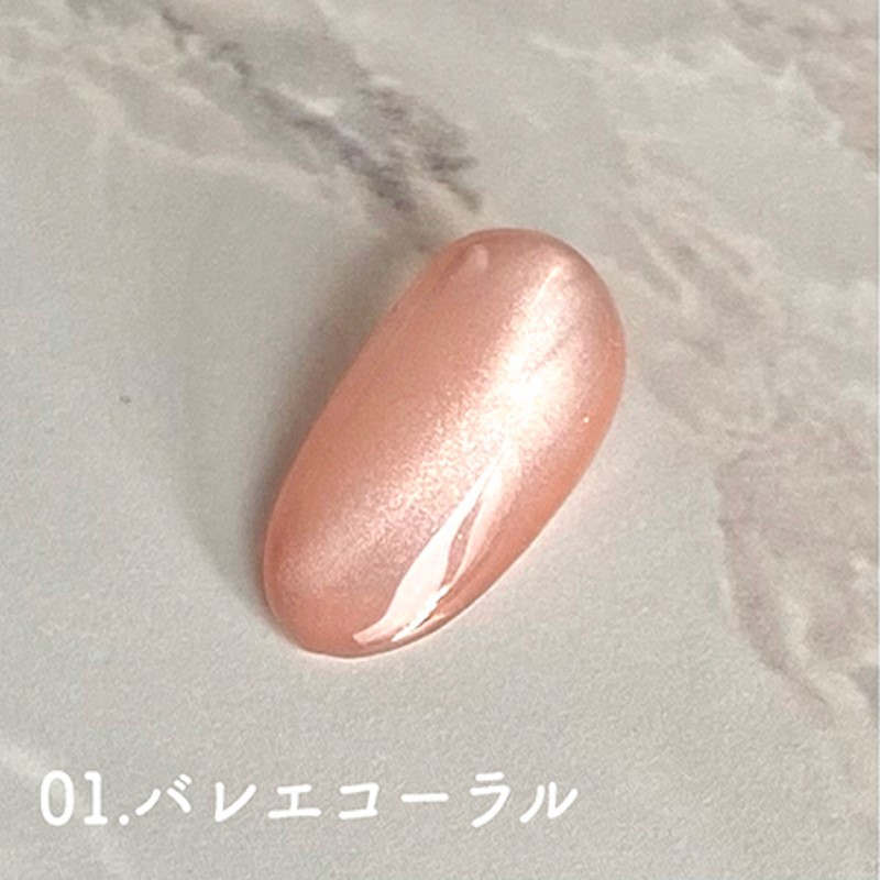 ディーネイル D.nail グロスマグジェル 3g 10色からご選択 01-10