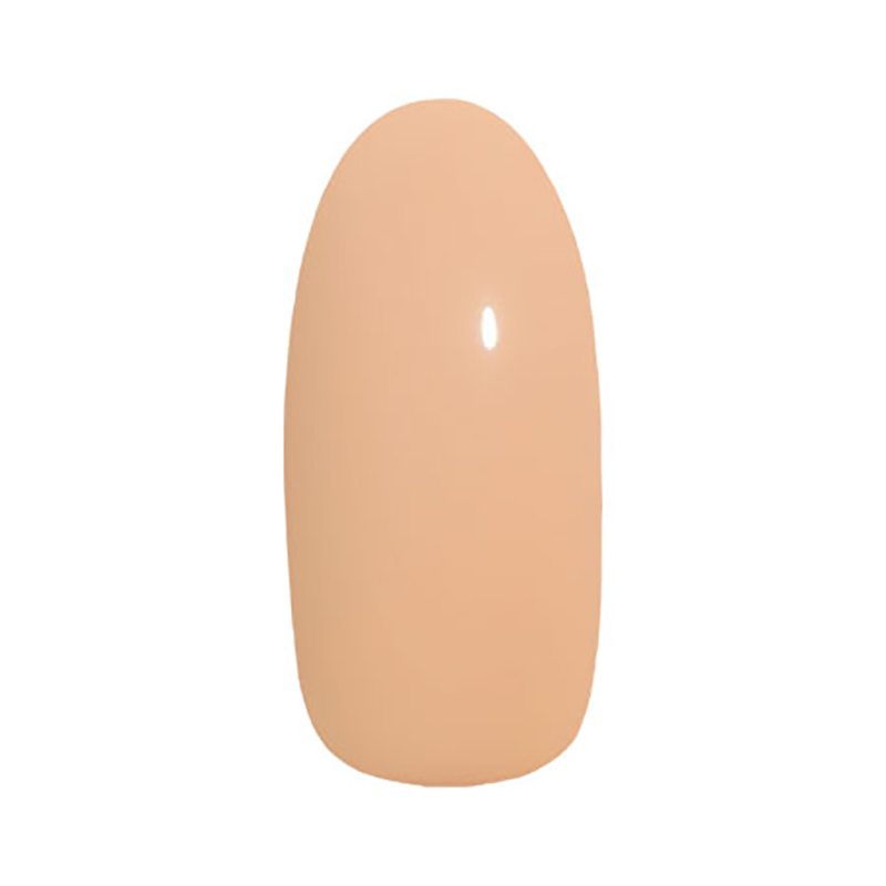 PREGEL プリジェル ミューズ カラージェル 3g 6色からご選択 PGU-M1073