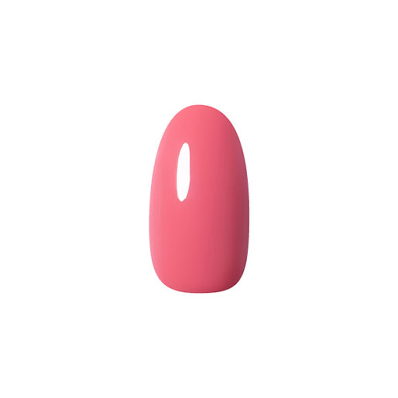 PREGEL プリジェル ミューズ 3g 3色からご選択 PGU-M1123-M1125 ジェル