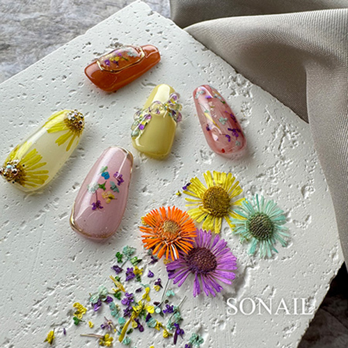 2ウェイ!花 ジルコニウム BELOVED ゴールド/マルチ ソネイル SONAIL ドライフラワーネイル 2g 2種類からご選択 花