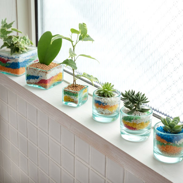 ガラスケース 小物入れ ディスプレイ 収納 アクセサリー入れ お