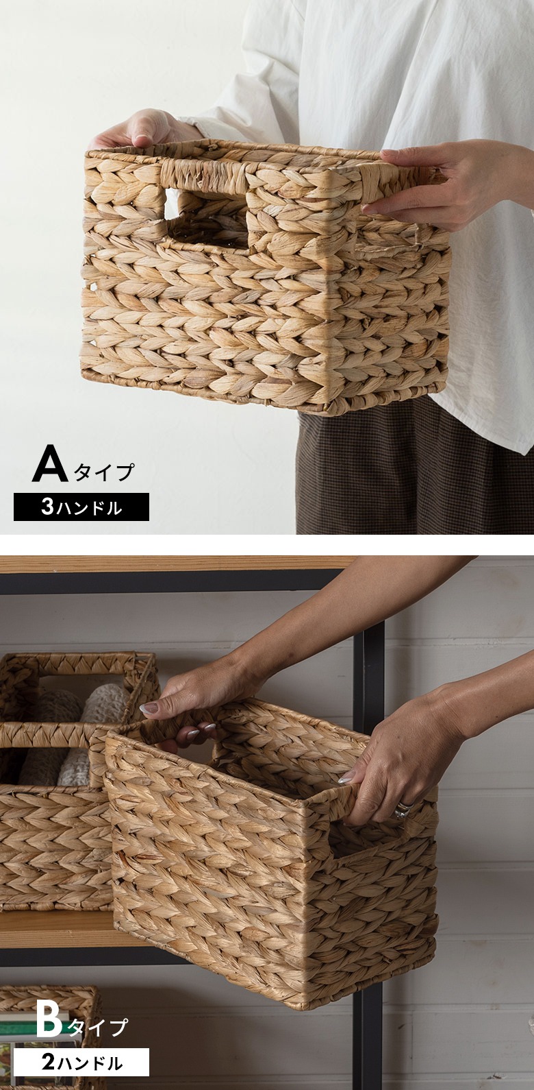 手に持つとこれくらいの大きさ