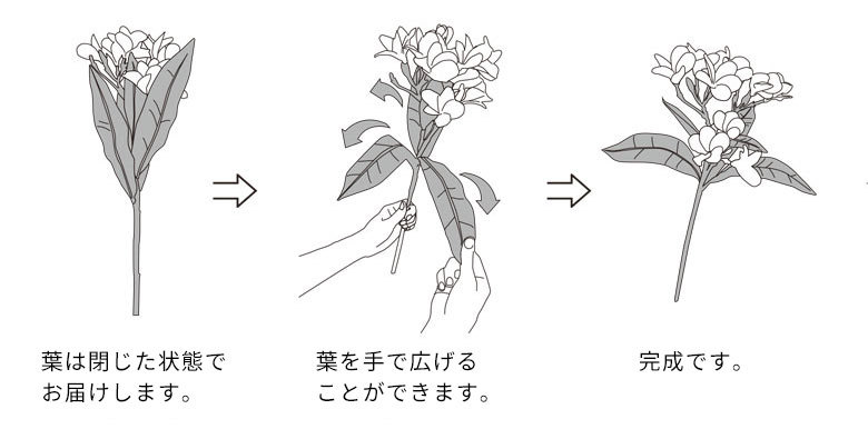 お届けの際のご注意