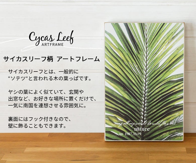 サイカスリーフとは、一般的にソテツと言われる木の葉っぱです。ヤシの葉によく似ていて、玄関や出窓など、お好きな場所に置くだけで、一気に南国を連想させる雰囲気に。裏面の上部にはフックがついているので、お持ちのフォトフレームなどと組み合わせて壁を飾ることもできます。