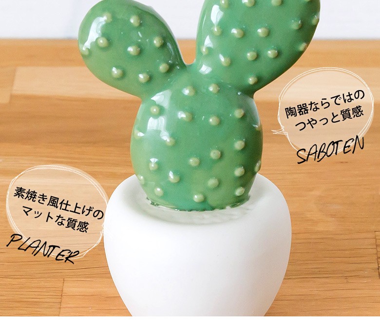 オブジェ デコレーション 置物 陶器 素焼き 多肉植物 多肉 サボテン