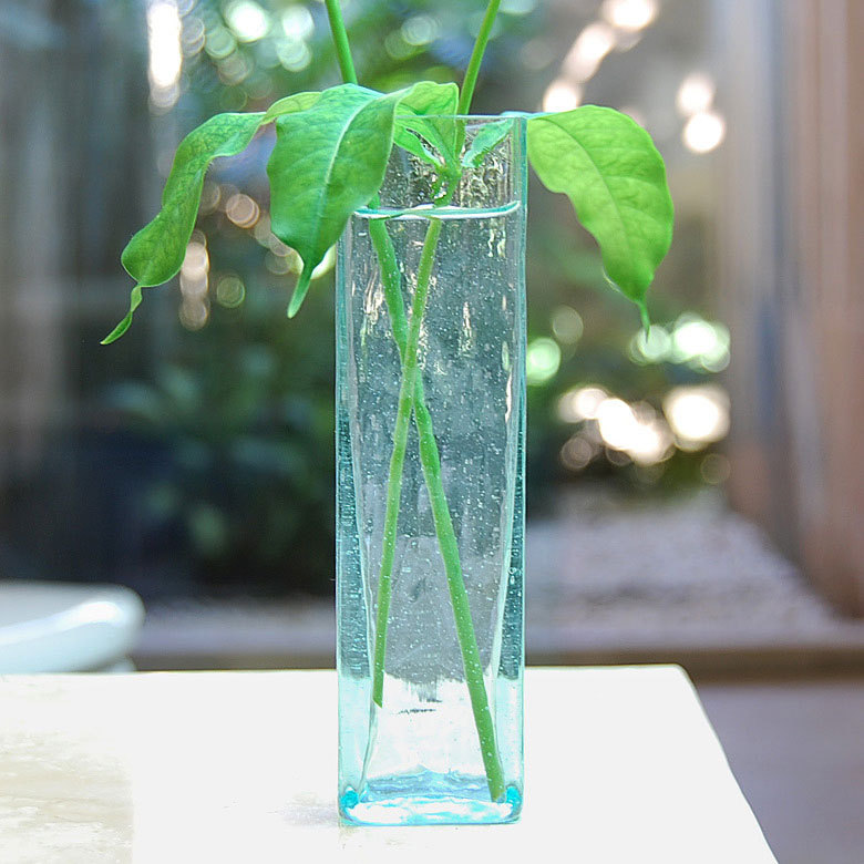 お礼や感謝伝えるプチギフト 一輪挿し 花瓶 クリア ミント 約 ｗ 4cm D H 15cm フラワーベース 一輪差し 花 植物 オブジェ 置物 インテリア シンプル Heartlandgolfpark Com