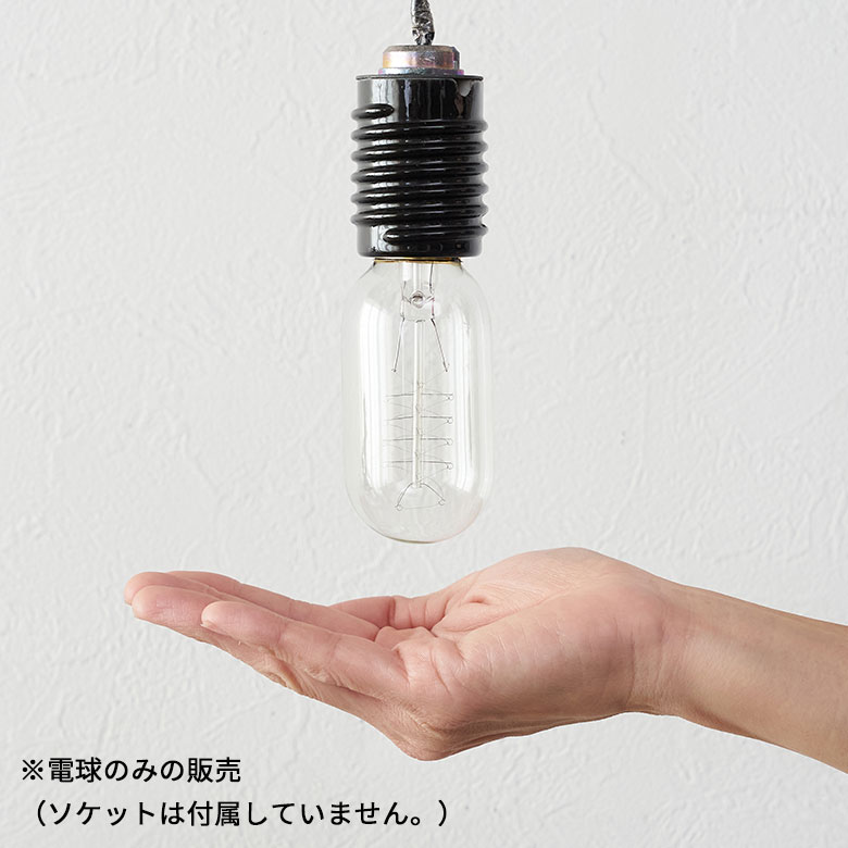 電球のみの販売。ソケットは付属していません。