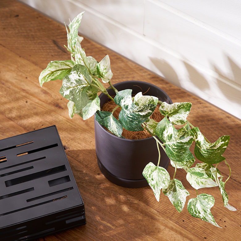 フェイク グリーン アイビー ヘデラ 班入り 高さ 28cm 人工 観葉 植物