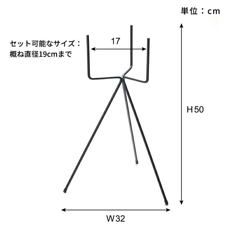 サイズ