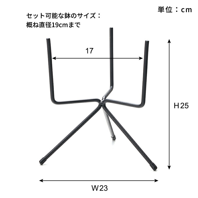 サイズ