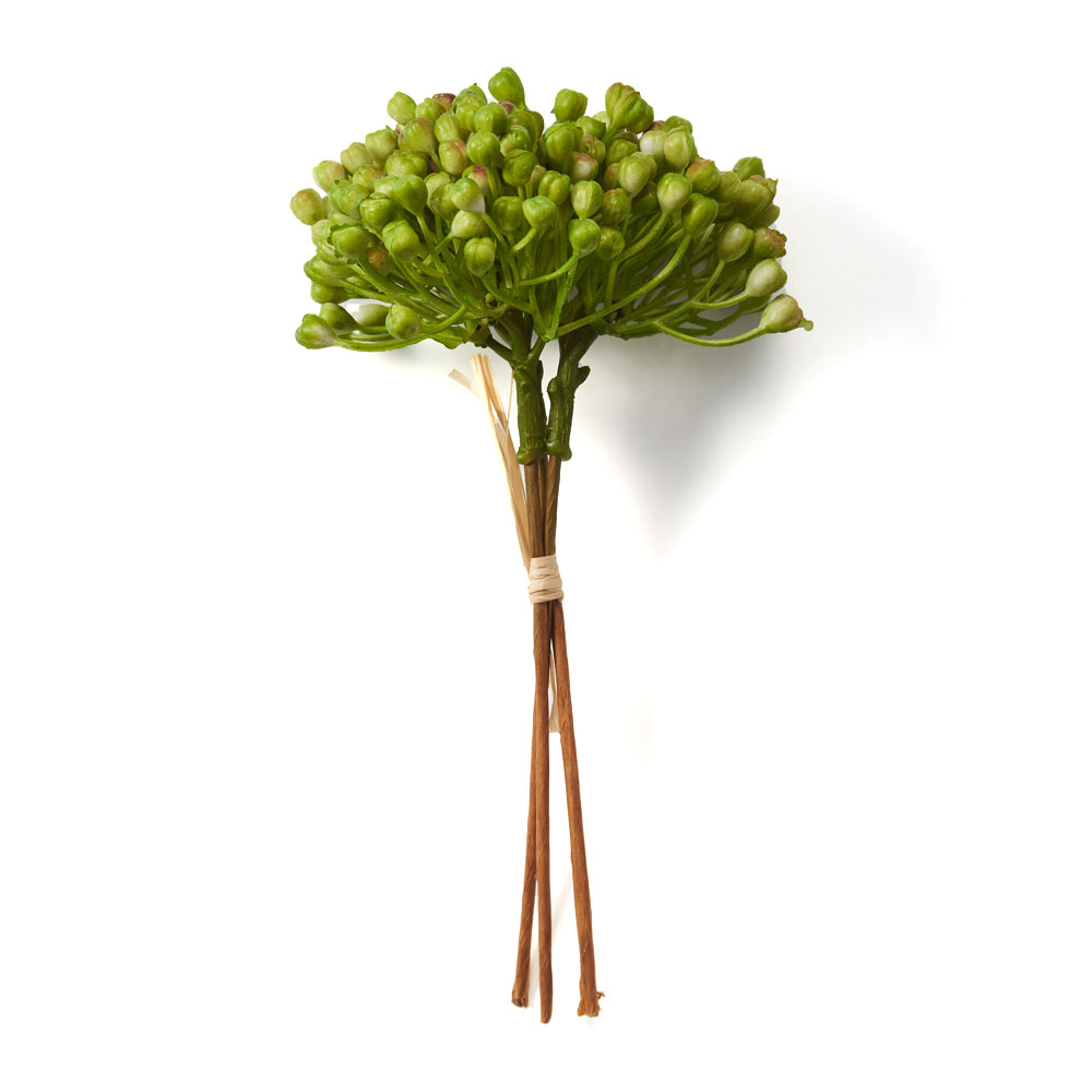 グレインベリー 造花 アーティフィシャル グリーン フェイク 高さ 20cm アート プランツ インテリア 木 果 実 リゾート おしゃれ 北欧 雑貨 西海岸風 94158 | ブランド登録なし | 01