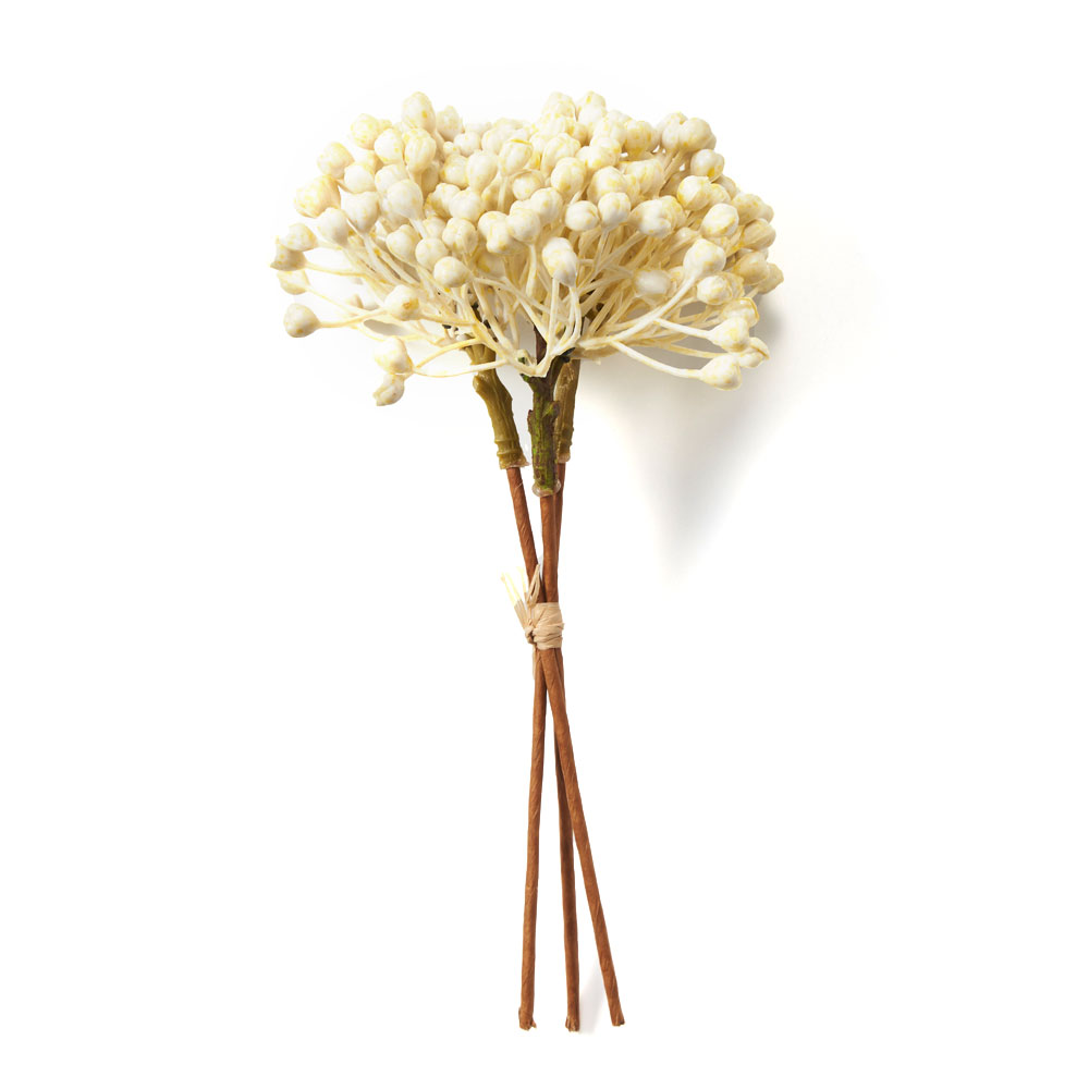 グレインベリー 造花 アーティフィシャル グリーン フェイク 高さ 20cm アート プランツ インテリア 木 果 実 リゾート おしゃれ 北欧 雑貨 西海岸風 94158 | ブランド登録なし | 02