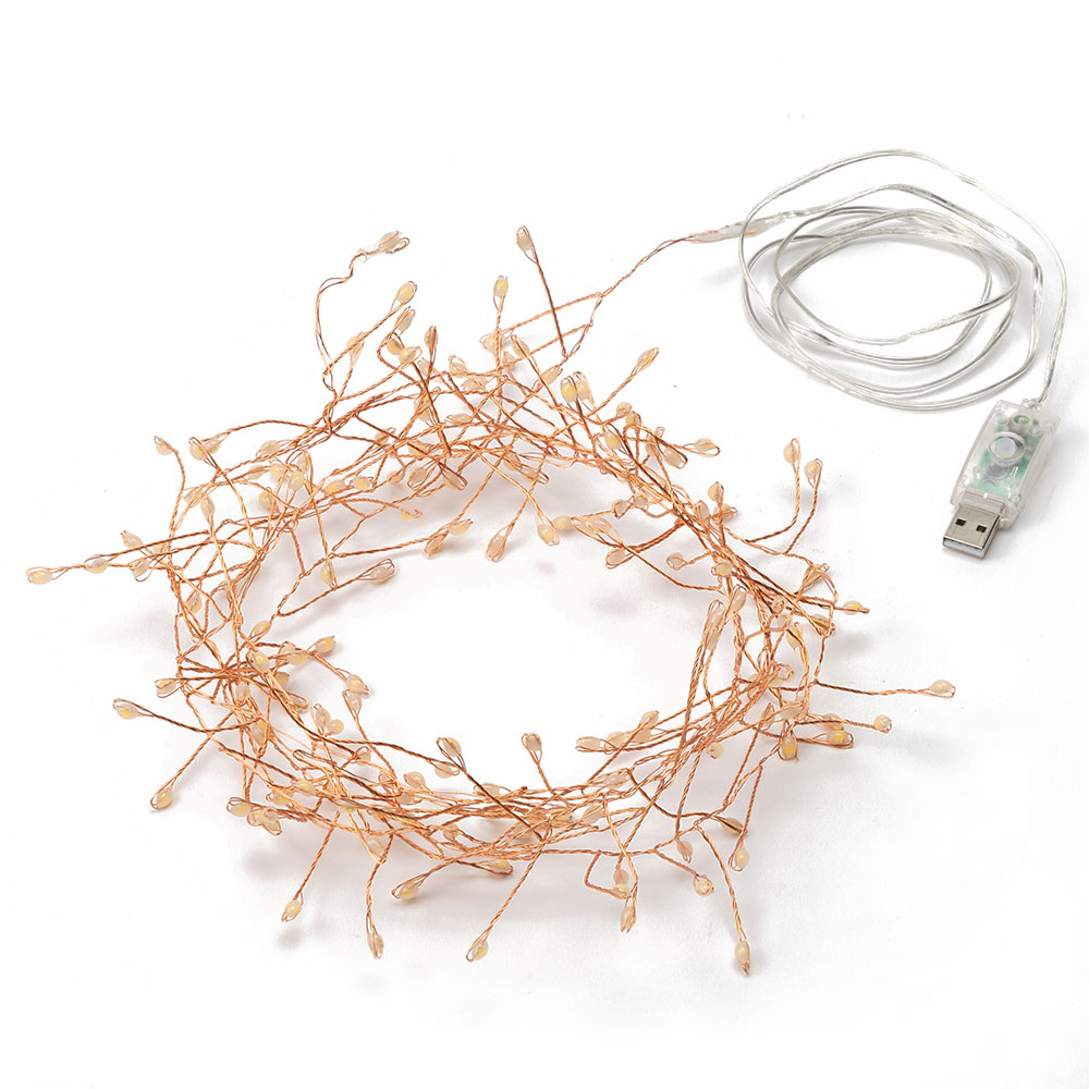 LED ライト クリスマス 電飾 ワイヤー 250cm 2.5m タイマー リモコン付き イルミネーション USB デコレーション インテリア おしゃれ 北欧 雑貨 西海岸 94746 | ブランド登録なし | 01
