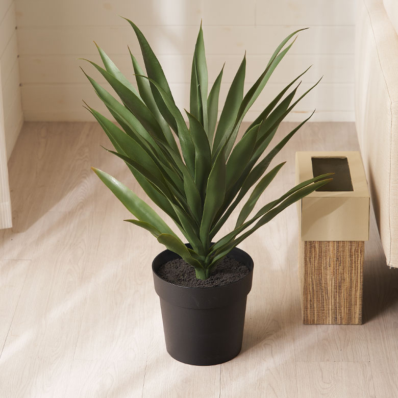 植物を育てるのが苦手な方でも、本物そっくりのフェイクグリーンなら気軽