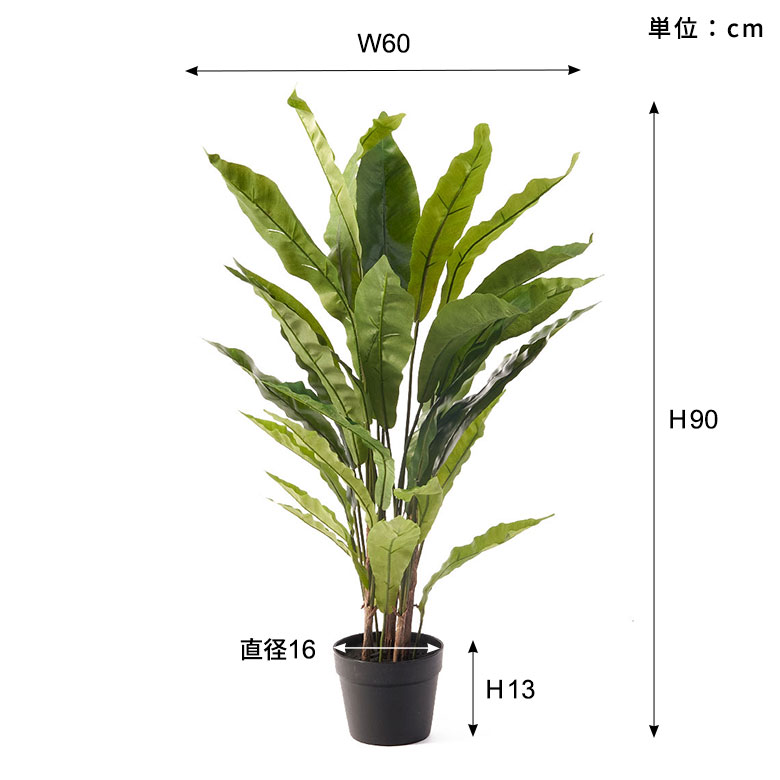 フェイク グリーン アスプレニウム オオタニワタリ 高さ 90cm