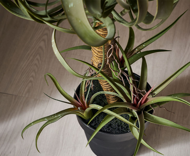 光触媒　人工観葉植物　ウォールグリーン　フェイクグリーン　ボタニカルチランジア 光触媒 人工観葉植物 ウォールグリーン フェイクグリーン ウッド