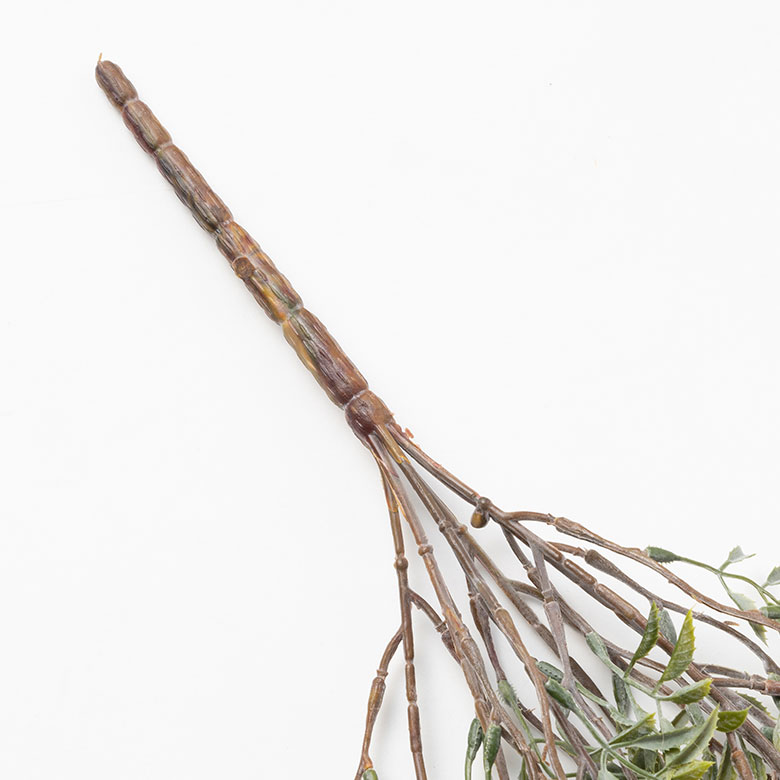 リアルなグリーンインテリア