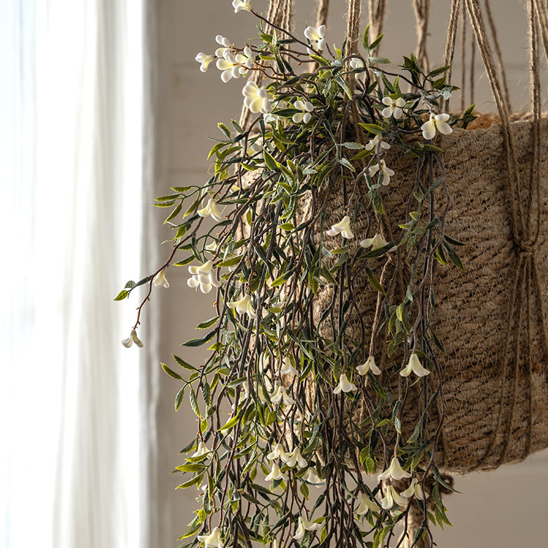 おしゃれなインテリア用グリーン