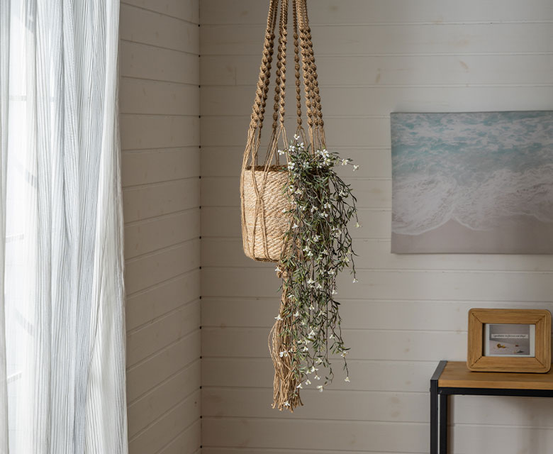 アートプランツをお部屋に