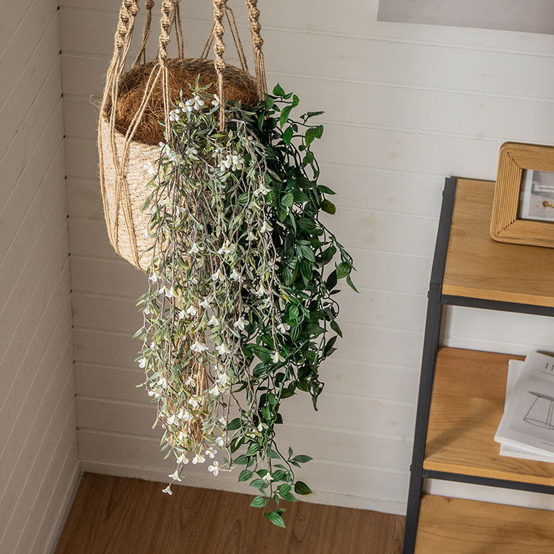 ハンギングプランツ