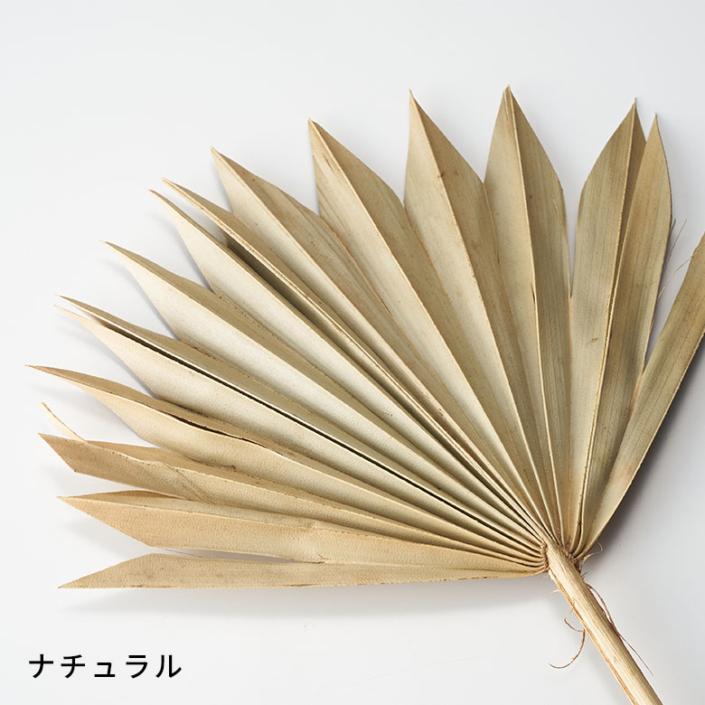 ナチュラル
