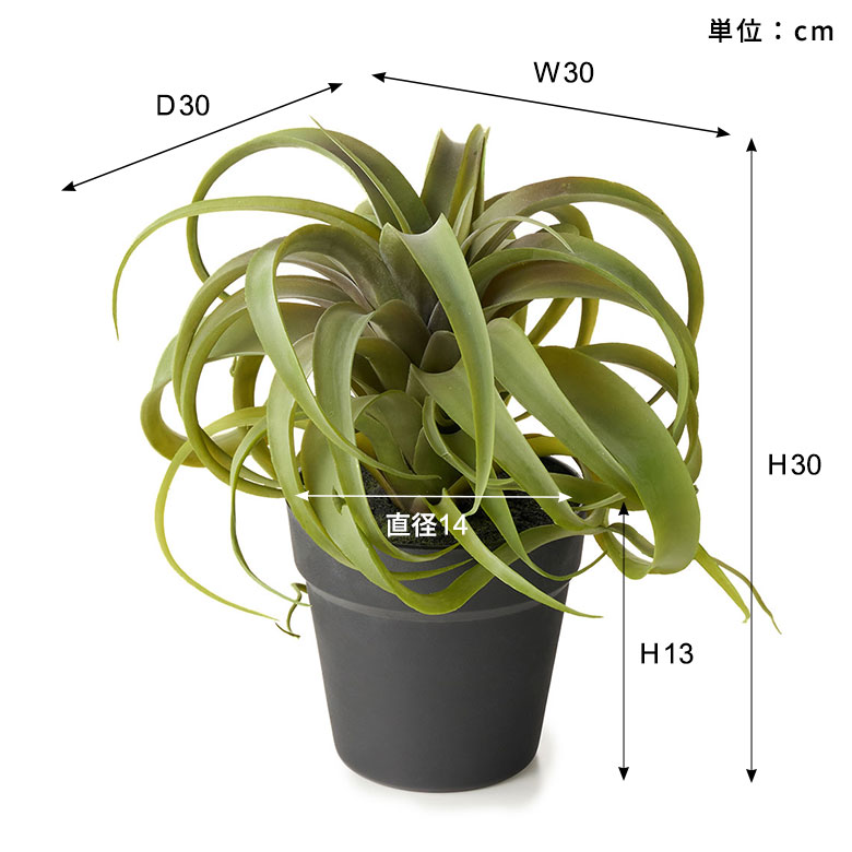 フェイク グリーン チランジア キセログラフィカ 高さ 30cm 人工