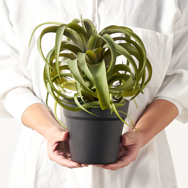 フェイク グリーン チランジア キセログラフィカ 高さ 30cm 人工 観葉