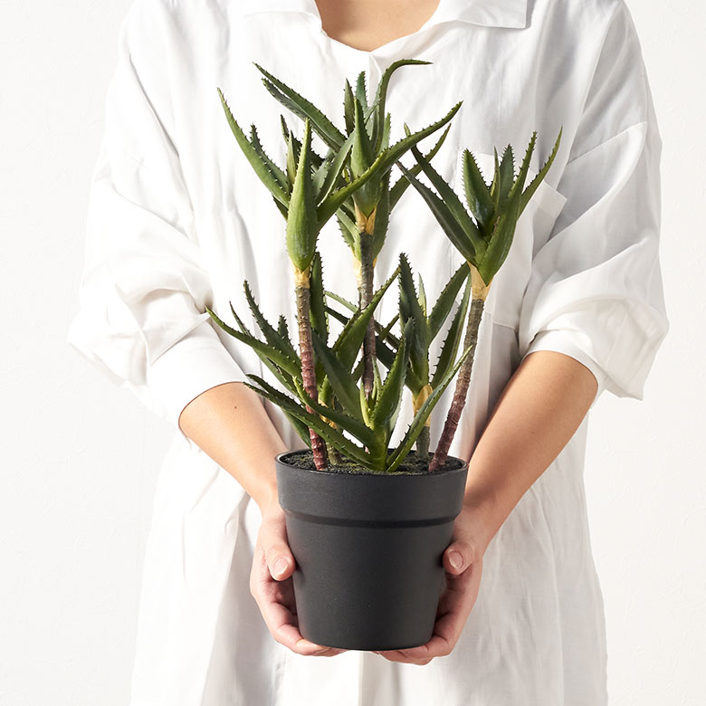 フェイク グリーン キダチ アロエ 高さ 42cm 人工 観葉 植物 多肉