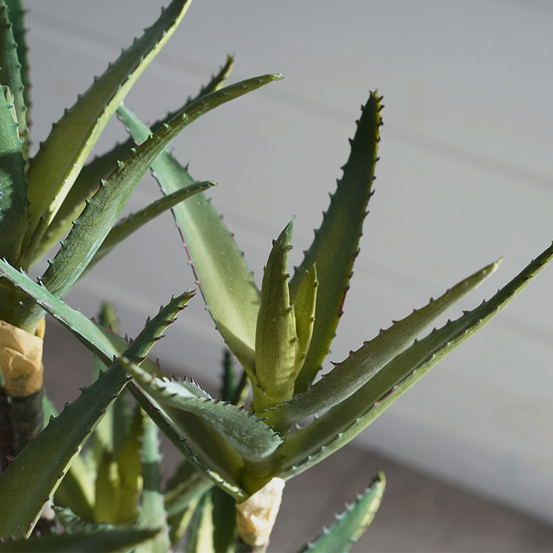 フェイク グリーン キダチ アロエ 高さ 42cm 人工 観葉 植物 多肉