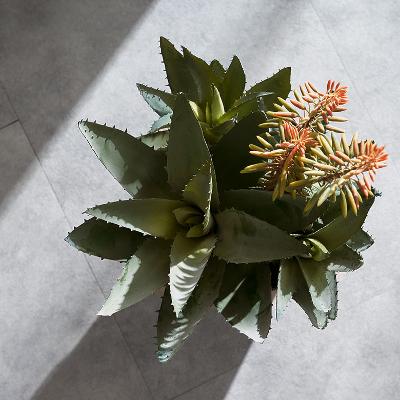 フェイクグリーン アロエ リアル 質感 おしゃれ かわいい インテリア 人工 観葉植物 プラスチック製 造花 癒し プレゼント 室内 フェイク グリーン アロエ 高さ 42cm 人工 観葉 植物 花 多肉 プランツ
