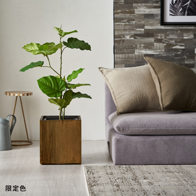 プランターを鉢ごと入れるだけで、旬インテリアに