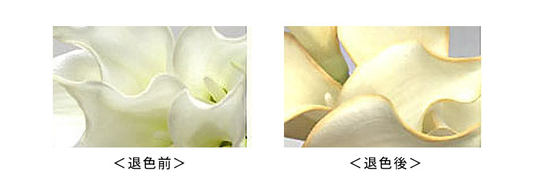 退色する可能性がございます。