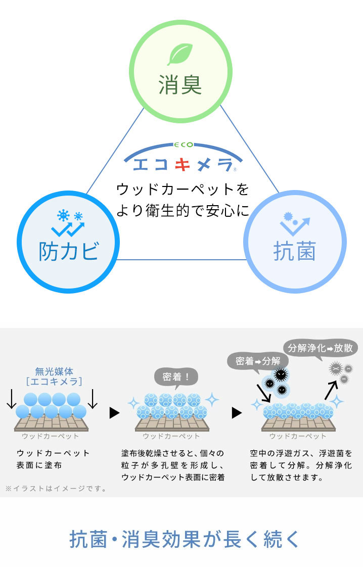 全ての 申込期間8月1日13時まで_テラモト ダークグレー_取