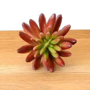 ELEMENTS 置き物 オブジェ 鳥 木製 木彫り カモメ 動物 ディスプレイ