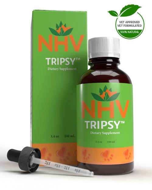 カナダNHV社 TRIPSY BK DETOX 犬用 ペット用 猫 犬 免疫力 ハーブ 無添加 老犬 液体 健康維持 オーガニック シニア ペット  皮膚 免疫 有機