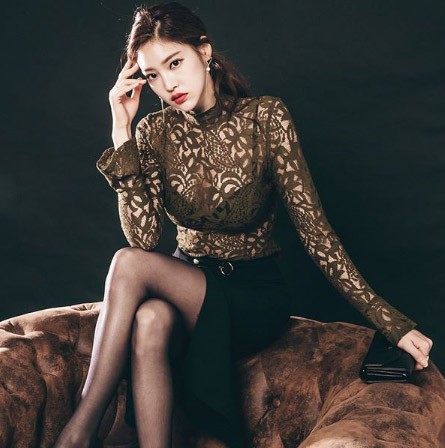 レディース　トップス　Tシャツ　長袖　レース　ハイネック　カットソー　シースルー　スリム　フィット　おしゃれ　セクシー　大人可愛い　フェミニン　デート　お出かけ　パーティー　送料無料