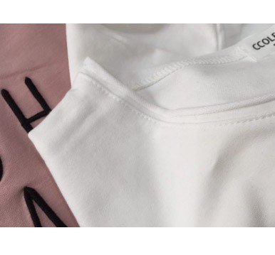 レディース　カットソー　刺繍　長袖　ロングTシャツ　ロンT　ラウンドネック　ベーシック　トップス　カジュアル　キュート　大人　可愛い　フェミニン　おしゃれ　お出かけ　デイリー　ピンク　グリーン　パープル　ブラック　　フリーサイズ　ワンサイズ　送料無料