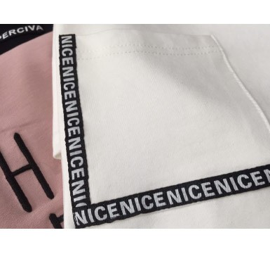 レディース　カットソー　刺繍　長袖　ロングTシャツ　ロンT　ラウンドネック　ベーシック　トップス　カジュアル　キュート　大人　可愛い　フェミニン　おしゃれ　お出かけ　デイリー　ピンク　グリーン　パープル　ブラック　　フリーサイズ　ワンサイズ　送料無料